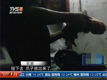 骚虎爆料香锅直男视频,骚虎爆料视频引热议
